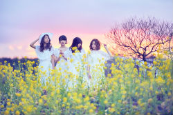 【2016年1月25日解禁】Canvasa アー写_Main