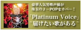 Platinum Voice～届けたい歌がある～
