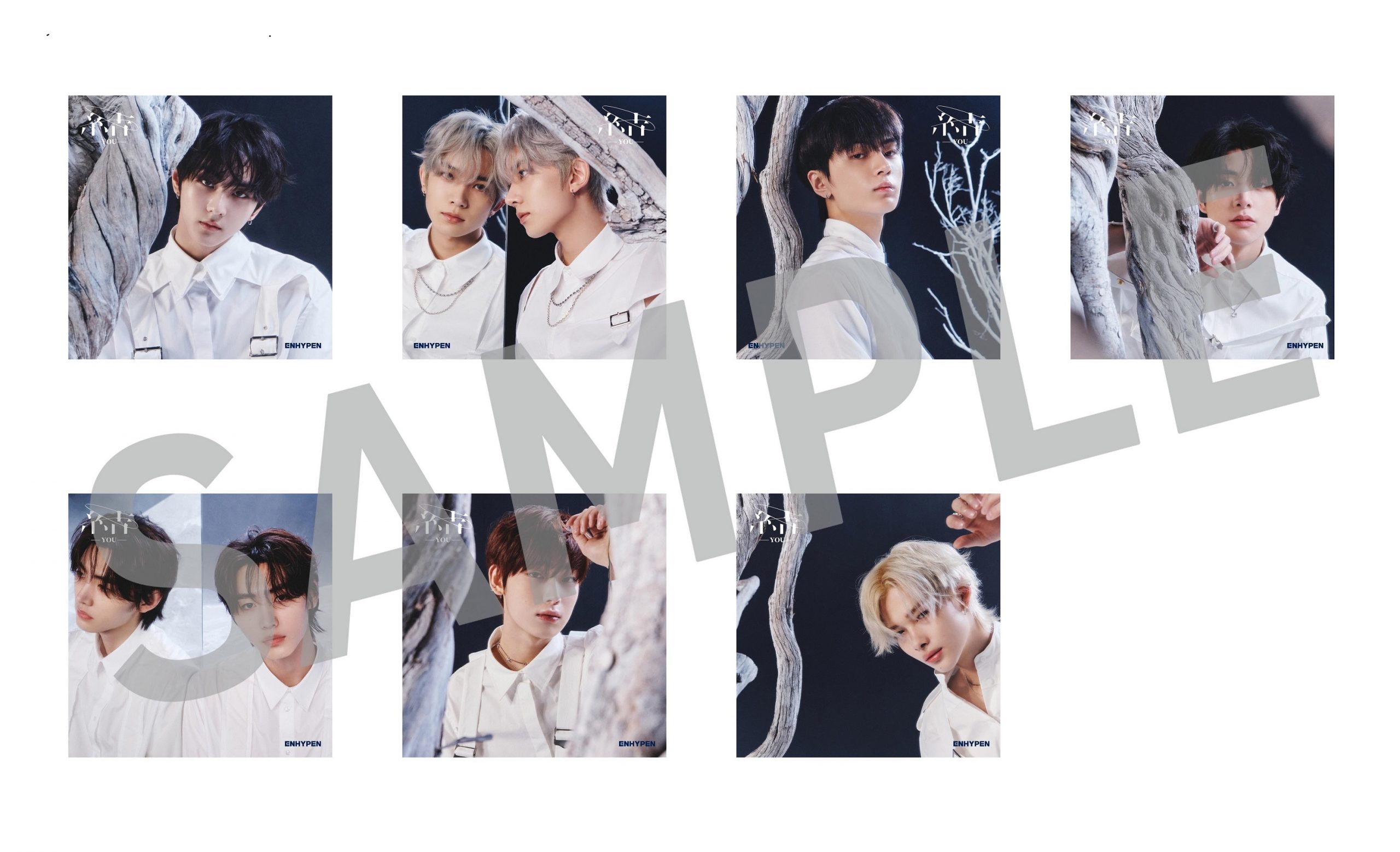 fateツアー us engene zone fcトレカ ジェイク ENHYPEN 宵 YOI 初回限定盤B トレカ 花 コンプ 7枚×3 21枚