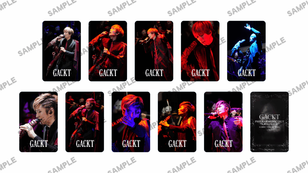 ブリト・ルイス・サンデル　Ringoシリーズ　不思議なゾウ ブリト・ルイス・サンデル Ringoシリーズ 不思議なゾウ