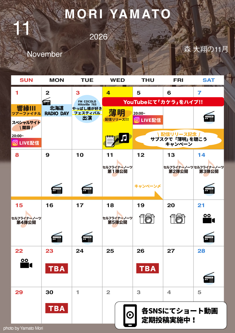 11月コンテンツカレンダー