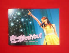 110428_kikkawagoods _02