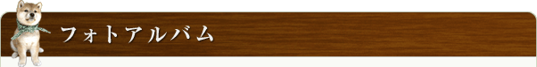 フォトアルバム