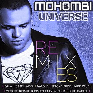 Universe Remixes COVER 300