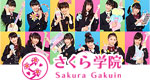 Top _artiststore _sakuragakuin