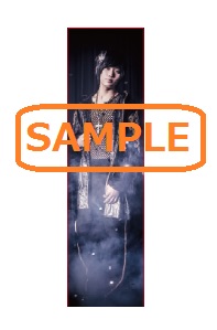 抱き枕イメージ