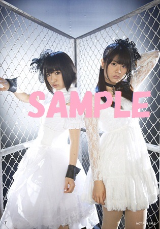 T_ワンダーグー_R