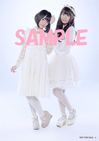 上新電機ディスクピア_R