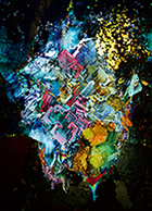 「Ｘと○と罪と」初回限定盤ジャケット写真