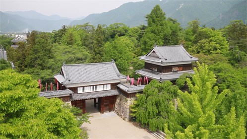 20151119 実写 上田城 俯瞰