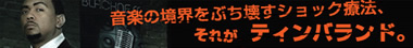 音楽の境界を壊すショック療法、それがティンバランド。