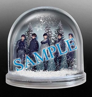 Fc _tokuten _snowdome