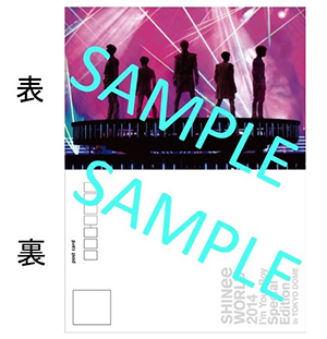 SHINee _postcard _sample