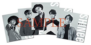 Shinee _sample _jacket