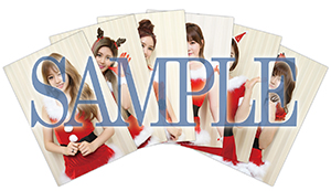 T-ARA 生写真＜サンタver.＞サンプル