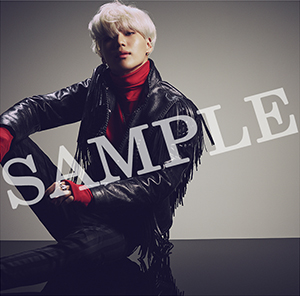 Otherjk _02_sample