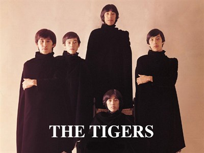 tigers-a