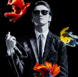 Kakokyu _syokai 0721解禁