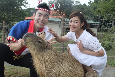 ゆうきカピバラデート