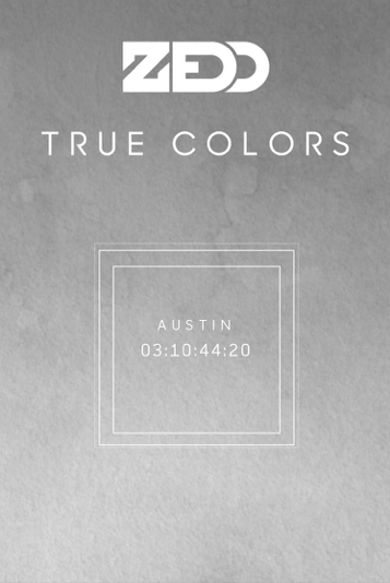 ZEDD_countdown _IMG_8492